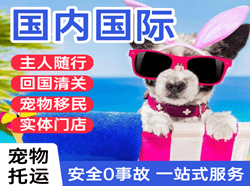 喀什机场邮寄国际宠物托运 【国